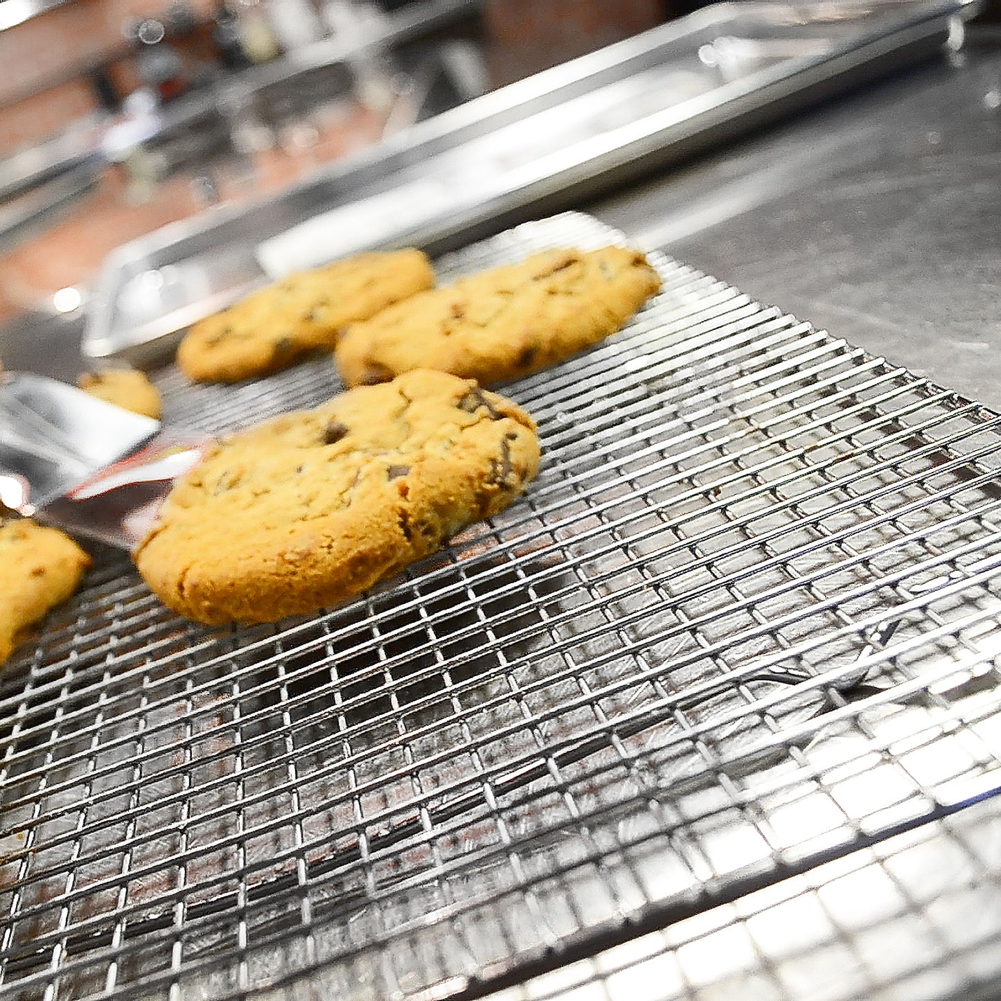 A chocolate chip cookie on a cookie sheet in a commercial kitchen